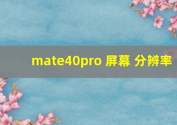 mate40pro 屏幕 分辨率